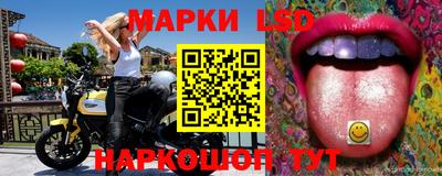 Альфа ПВП Бийск