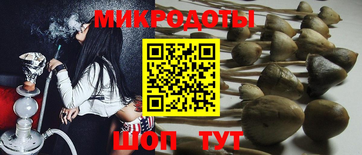 Псилоцибиновые грибы Psilocybe  Галлюциногенные грибы Cubensis  Вход с VPN  Ахтубинск 
